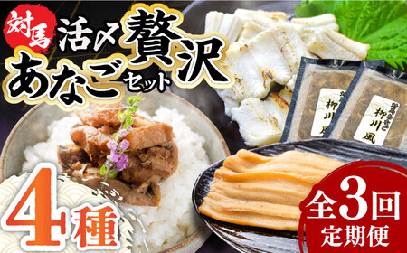 【全3回定期便】対馬産 あなご 贅沢 セット 《対馬市》【対馬地域商社】九州 長崎 煮あなご 佃煮 アナゴ  九州 長崎 [WAC021]冷凍 新鮮 あなご 穴子 柳川風 下処理 寿司 あなご重 天ぷら おかず もう1品 おつまみ おにぎり ちらし寿司 海鮮 魚介 長崎 対馬 定期便 毎月届く