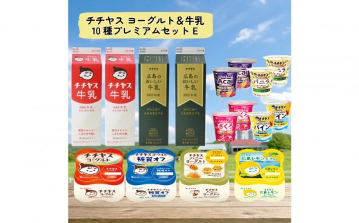 チチヤス ヨーグルト＆牛乳 10種プレミアムセット E