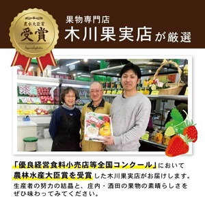 SE0206　【3回定期便】酒田の果物専門店厳選　くだもの定期便2024 (小玉すいか、アールスメロン、ラ・フランス)