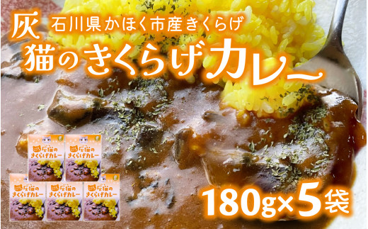灰猫のきくらげカレー 180g × 5袋 | 木耳 キクラゲ 鉄分 きのこ キノコ レトルト スパイシー 中辛