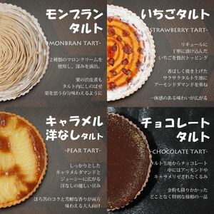タルト 詰め合わせ ギフト 16個 セット | 長野県 飯田市