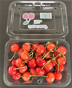 さくらんぼ（佐藤錦または紅秀峰）１.２ｋｇ　ご家庭用　0078-2510