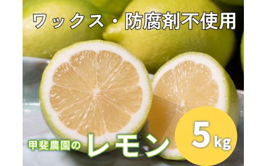 ワックス・防腐剤不使用の皮ごと使えるレモン5㎏【配送時期：9月上旬～3月下旬】