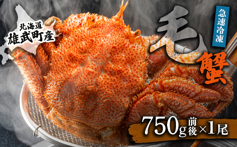 オホーツク産 オホーツク 毛がに 毛ガニ 毛蟹 蟹 カニ 750g 1尾 かに かにみそ カニみそ かに味噌 濃厚 北海道オホーツク産 海産物 海産 海鮮 魚介 魚貝 魚介類 冷凍 ふるさと納税 北海道 雄武町 雄武【1240601】
