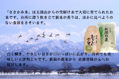 【令和7年産新米予約】コシヒカリ 「新潟の泉」 5kg 旧笹神村産 上泉 農家直送 コメドック 金賞 9月下旬発送予定  1Q01019