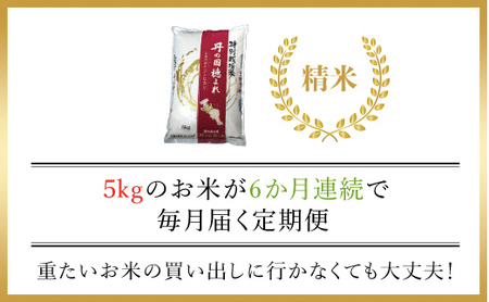 【半年定期便】特別栽培米　コシヒカリ　丹の国穂まれ　精米5kg×6回(30kg)FCCR003