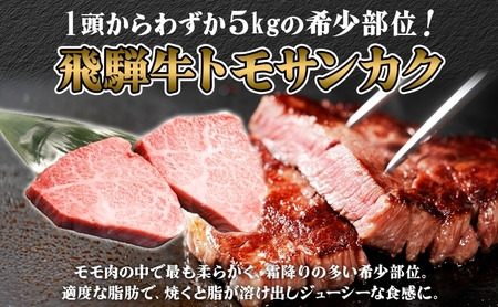 飛騨牛 ステーキ 2種 食べ比べ 赤身 トモサンカク 計約1.6kg 各800g 肉 牛肉 和牛 ブランド牛 お肉 ビーフ A4ランク A5ランク 国産 お取り寄せ ご褒美 豪華 グルメ 焼肉 BBQ