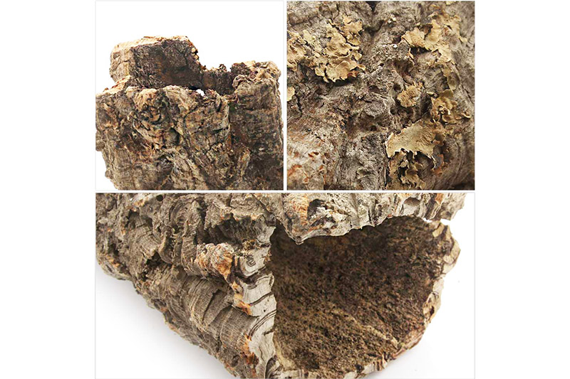 形状お任せ 筒型コルク Lサイズ 長さ30cm エアプランツ 着生植物 [株式会社チャーム charm コルク樹皮 バックパネル ビバリウム 養生植物]