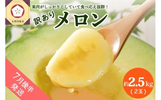 【2026年7月後半発送】【訳あり】メロン 約2.5kg 青肉 2玉 青森産