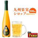 【ふるさと納税】九州を飲む！九州果実シロップ 桜島小みかん 500ml 1本 果実 シロップ ミカン オレンジ みかん 果汁 希少 はちみつ ハチミツ 桜島 年内発送 送料無料