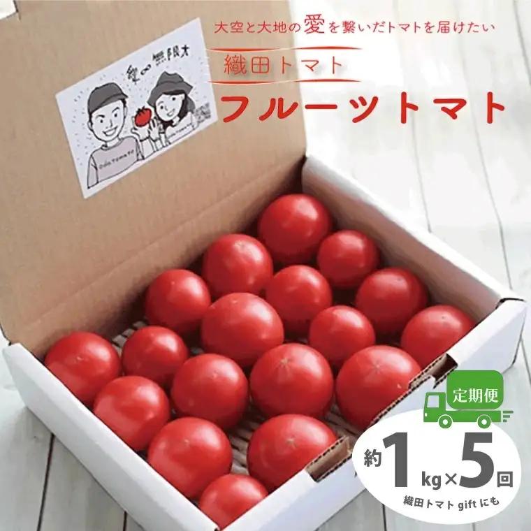 ≪2027年1月頃～発送≫【ふるさと納税】＜フルーツトマト 定期便 織田トマト 約1kg ×5回 計5kg 真っ赤なフルーツ太陽＞【先行予約受付中】高知県 佐川町 細胞が喜び命が輝く大空と大地の愛を繋ぐ サイズ混合 連続5ヶ月お届け予定 ＜毎年1月上旬頃まで申込受付＞