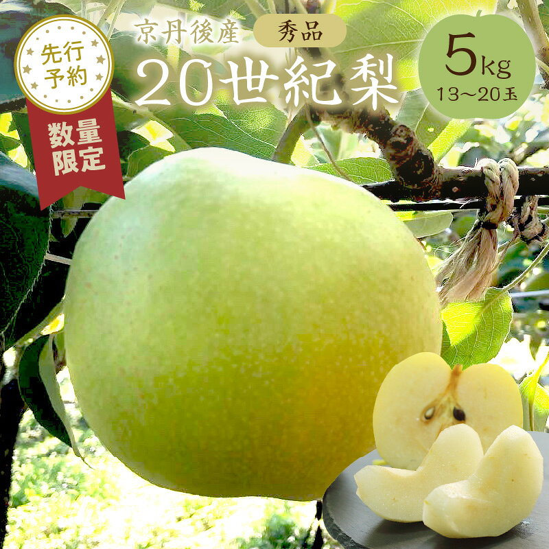 【ふるさと納税】2026秋発送【先行予約／数量限定50】20世紀梨 秀品 5kg（13～20玉入り）（2026年9月上旬～発送） 国産 13～20 個 玉 ふるさと 納税 梨 なし ナシ ふるさと納税 20世紀梨 ふるさと納税 二十世紀梨 5kg ふるさと 納税 フルーツ くだもの 農家直送