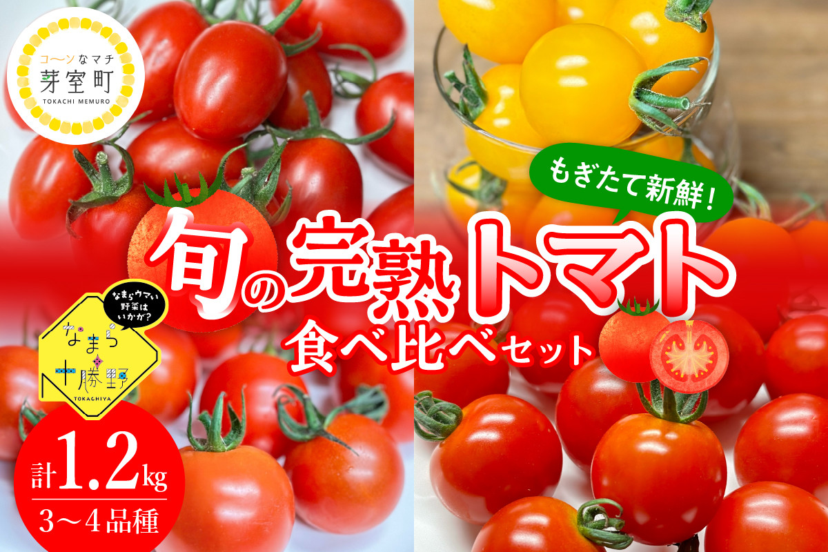 
            北海道十勝芽室町 なまら十勝野の旬の完熟トマトを3～4品種詰め合わせた食べ比べセット me001-013c
          