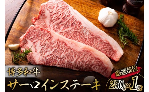 博多和牛 A4以上 サーロインステーキ 厳選部位 250g 1枚 [MEAT PLUS 福岡県 筑紫野市 21760743] 肉 牛肉 和牛 黒毛和牛 ステーキ サーロイン 冷凍