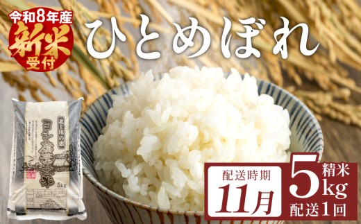 ＜先行予約＞【11月配送】米 令和8年産 ひとめぼれ 精米 5kg 単品 こめ コメ お米 ご飯 白米 ヒトメボレ 特別栽培米 減農薬栽培 ヨシ腐葉土米 ブランド米 国産 ごはん ライス お弁当 おにぎり 宮城県 石巻市 宮城 石巻