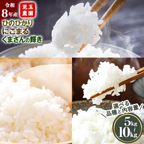 【ふるさと納税】【令和8年産】先行予約 『児玉農園』にこまる くまさんの輝き 食べ比べ 5kg 5kg×1袋 10kg 5kg×2袋《10月下旬-11月中旬頃出荷》 お米 米 精米 食べ比べ 国産 熊本 九州 玉東町 産地直送 産直 人気 ブランド米