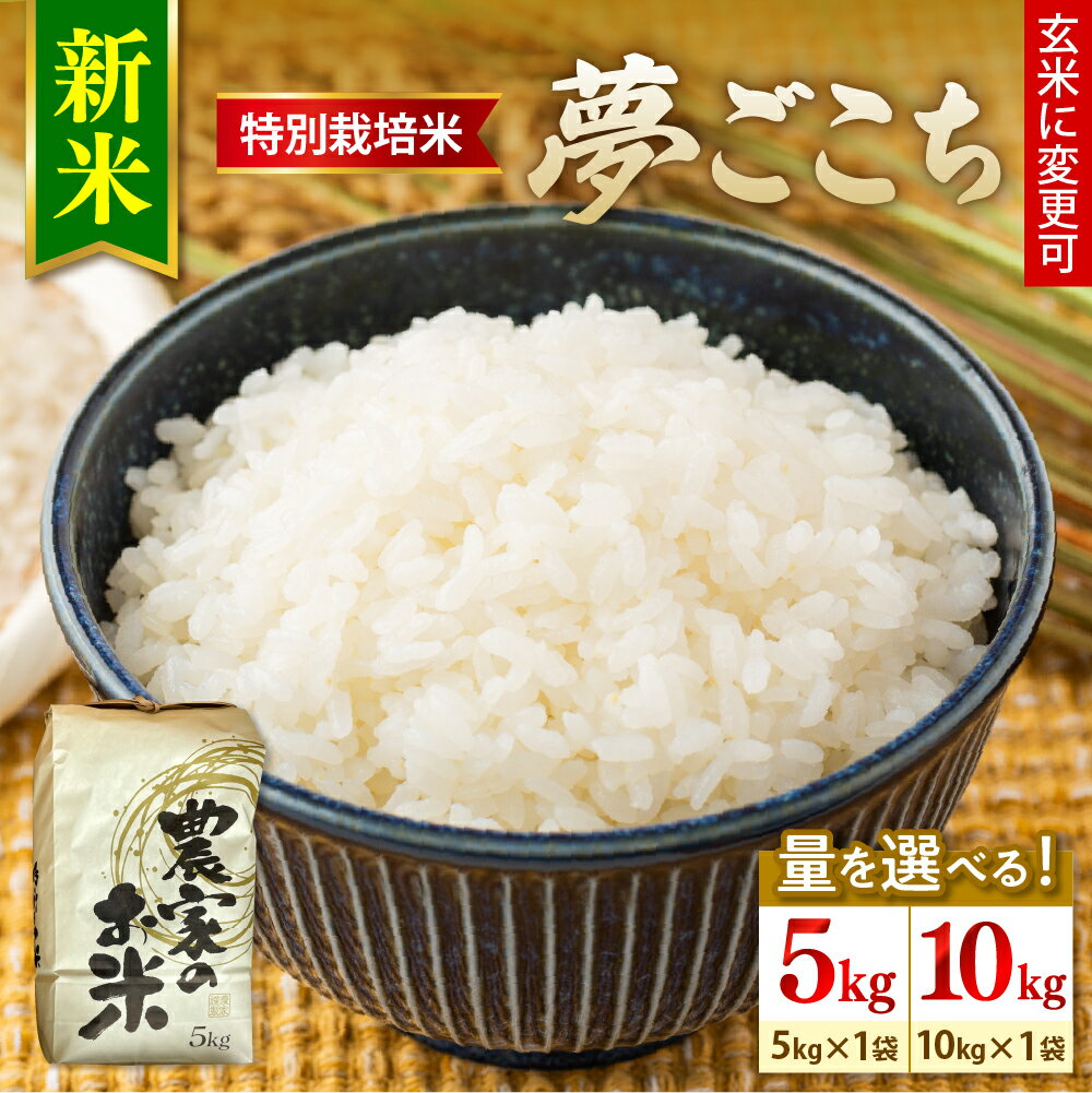 【ふるさと納税】【令和7年産】特別栽培米 夢ごこち ( 選べる内容量 : 5kg 10kg ) 1袋 玄米可 農家直送 2025年産 米 お米 白米 ブランド米 ご飯 ごはん ライス お取り寄せグルメ 常温配送 送料無料 山形県 米沢市