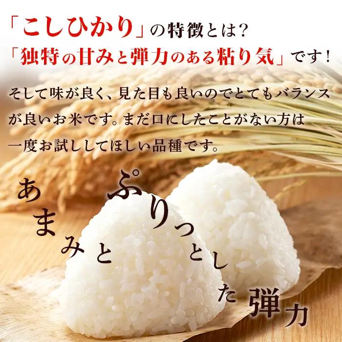 684 【令和7年産】茨城町産 無洗米 こしひかり 5kg【野口ライス】