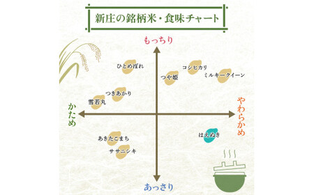 令和7年産 はえぬき 5kg×2 計10kg 精米 【最上ノ米蔵】 山形県産 こめ お米 米 白米 F3S-2802