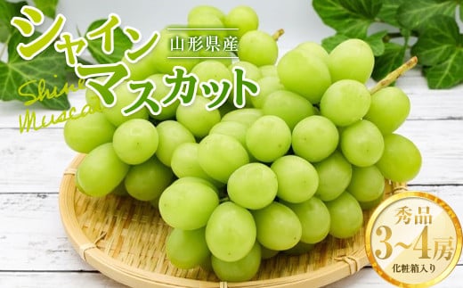《2025年先行予約》山形県産 シャインマスカット 秀品 3～4房入り 2kg 箱入り  マスカット ぶどう ブドウ 葡萄 デザート フルーツ 果物 くだもの 果実 食品 山形県 FSY-0826