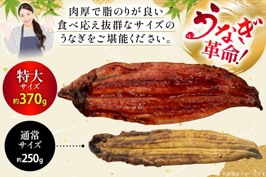 二の丑 うなぎ 蒲焼 約 1.1kg 3尾 タレ・山椒付 茶葉蒸し [大黒物産 福岡県 宇美町 um40bak830006]鰻 ウナギ 小分け うなぎ蒲焼 鰻蒲焼き 訳あり 蒲焼き かば焼き 茶葉蒸し