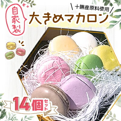 【ふるさと納税】十勝産原料使用　自家製　大きめマカロン14個セット【配送不可地域：離島】【1237258】