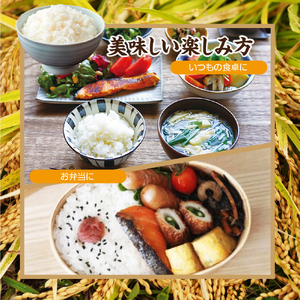 令和7年産　青森県産米　5㎏