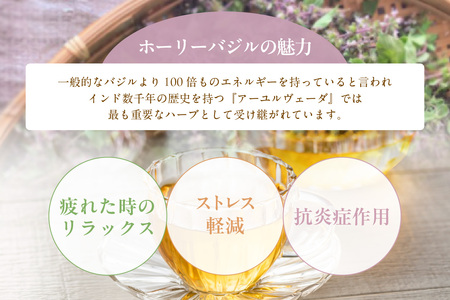 国産自然栽培ホーリーバジルティ20gとハーブソルト25g 自然栽培農園 花 葉 茎 ナチュラル 塩 天日塩 茶葉 リラックス くつろぎ 食後 ティータイム ハーブティー お茶  調味料 スパイス 料理