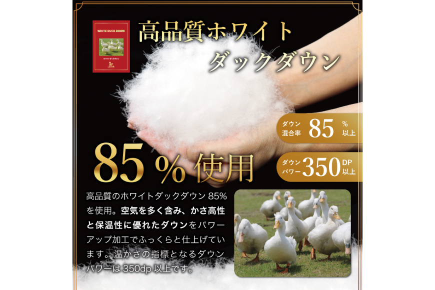 【冬用】洗える 羽毛布団 かけ布団 冬 本掛け セミダブル ホワイトダックダウン 85％ 1.4kg 無地 ネイビー布団 日本製 エクセルゴールドラベル 抗菌 防臭 羽毛 ふとん フトン 寝具 日用品