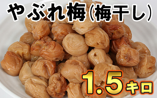 
【訳あり・やぶれ梅】ひらそ農園の完熟南高梅の梅干し 1.5kg（塩分約13%）＜004-001_5＞
