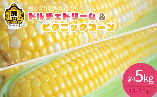 《先行予約》秋田県鹿角産 朝採り とうもろこし「ドルチェドリーム＆ピクニックコーン」約5kg（13～15本）【さとう農園】●2026年8月10日以降発送開始 新鮮 野菜 安全 トウモロコシ スイートコーン フルーツコーン 中元 お歳暮 母の日 父の日 グルメ ギフト 故郷 秋田 あきた 鹿角市 鹿角 産地直送 農家直送