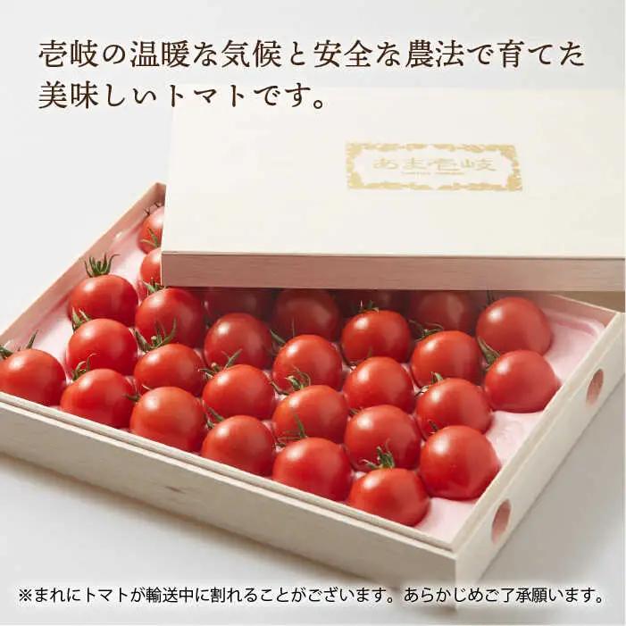 【先行予約】ミディトマト 約1kg 高級贈答用 あま壱岐 [JAE003] トマト