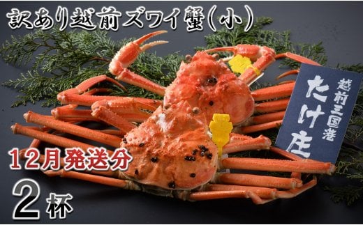 【電話連絡で安心】 訳あり≪茹で≫越前ズワイ蟹(小) 2杯【2025年12月発送分】 [D-1601_12]