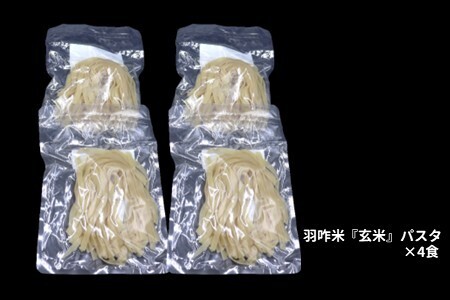 米粉 パスタ麺 玄米麺×4 こしひかり 【自然栽培米】