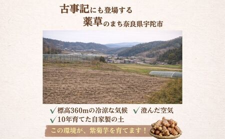 ＜定期便3回＞ 奈良県宇陀市産 紫菊芋タブレット【90g×1袋（約30日分）】 ／ ふるさと納税 福角兄弟農園 菊芋 タブレット 菊芋粉末 イヌリン豊富 食物繊維 健康習慣 無添加 血糖値対策 腸活 
