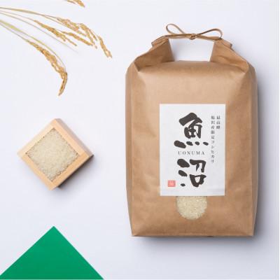 ふるさと納税 南魚沼市 【毎月定期便】南魚沼産コシヒカリ5kg　旧塩沢地区産限定全6回