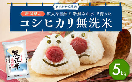 無洗米 新潟県産コシヒカリ 5kg 無洗米 産地直送