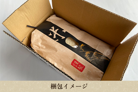 【令和8年産新米先行予約】加茂市産こしいぶき 精米10kg（10kg×1袋）《9月中旬～順次出荷》