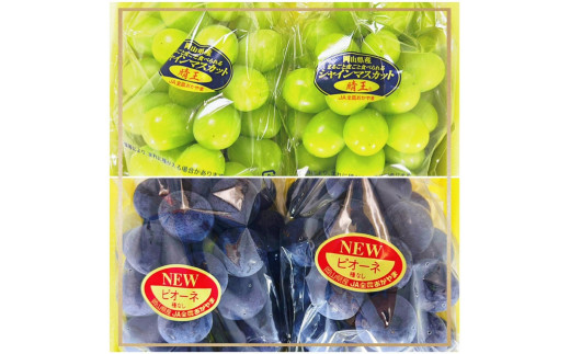2026年  岡山県産　ニューピオーネ2房(1房480g以上)・シャインマスカット晴王2房(1房480g以上)　化粧箱入り | フルーツ 果物 くだもの ぶどう ブドウ シャインマスカット 晴王 ニューピオーネ 国産 岡山県産 食品 人気 おすすめ 送料無料 ギフト 贈り物 贈答品 プレゼント 果物 くだもの フルーツ ぶどう ブドウ シャインマスカット 晴王 ニューピオーネ