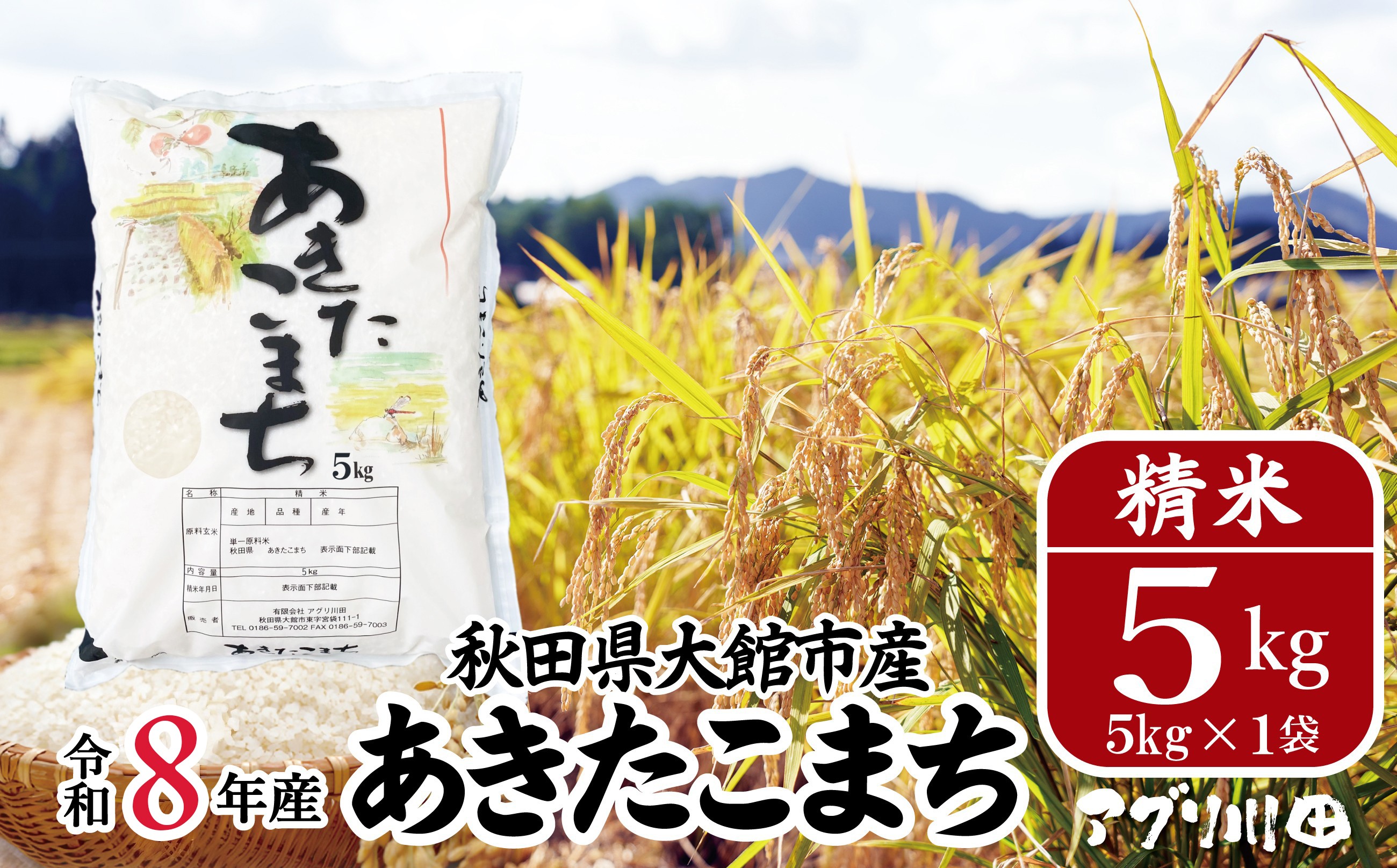 
                  【先行予約】【令和8年産】ホタルが舞う清らかな環境で育った「あきたこまち」5kg(5kg×1袋) 50P072002　/ 米 こめ コメ 精米 白米 5kg  1袋 小分け あきたこまち 弁当 おにぎり 秋田 東北 大館 大館市 アグリ川田 
                