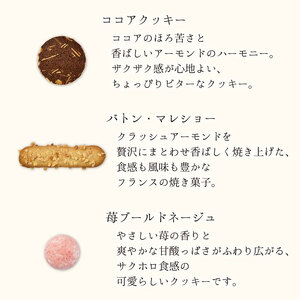 クッキー缶 無添加 スイーツ クッキー 缶 ガールズ缶 9種の焼き菓子詰合せ 詰め合わせ 銀河工場 焼き菓子 国産 バター お菓子 手土産 おしゃれ 可愛い ご褒美 贈り物 奈良県 大和郡山市