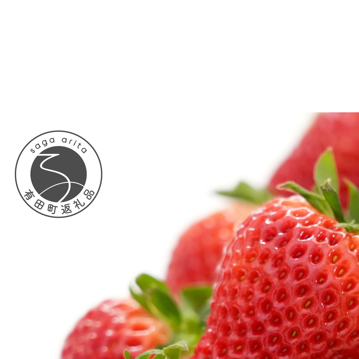 【眺めてうっとり、かじって甘い！】JAの「いちごさん」240g✕4パック【JA伊万里_園芸】いちご イチゴ 苺 いちごさん 果物 4パック 小分け 佐賀 佐賀いちご 甘い 酸味 10000円 1万円 