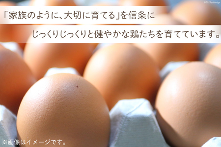 BH107 マツコの知らない世界で紹介！ 【3回定期便】紅白愛でたまごセット30個 総計90個