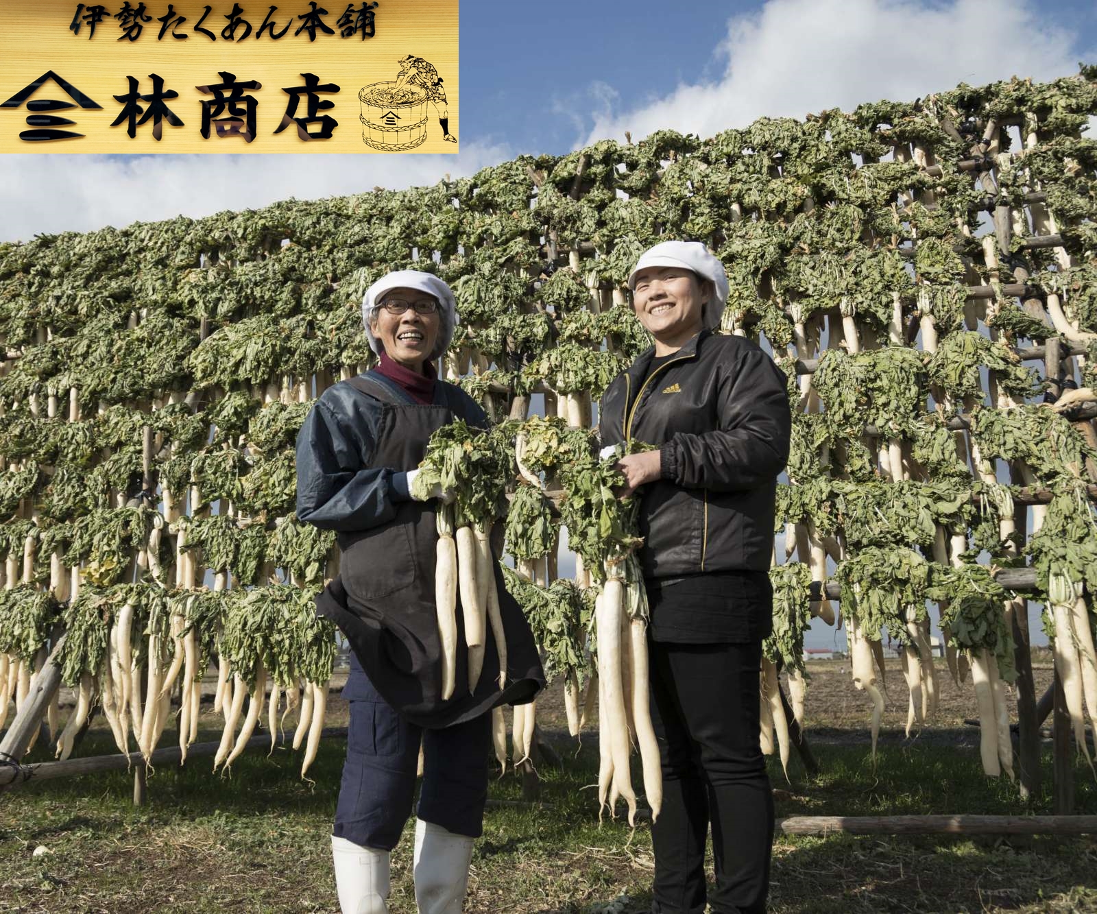 1721　伊勢志摩産　無添加　熟成　梅干　大粒　南高梅　100g　4個　計400g　塩分10%