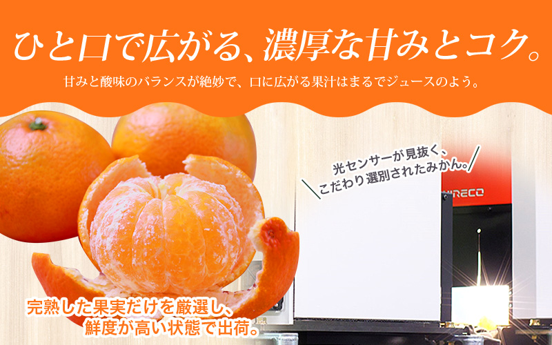 ＼光センサー選別／極 有田みかんプレミアム 約3.5kg【光センサー 高糖度選別品】2S～Lサイズ 有機質肥料100% ※2026年11月～2027年1月に順次発送予定 ※北海道・沖縄・離島への配送不