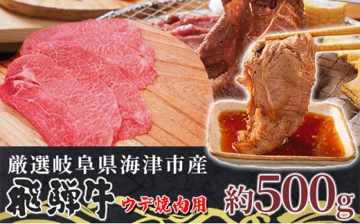 
[№5533-0309]【飛騨牛】海津市産ウデ焼肉オリジナルカット 【配達不可：離島】
