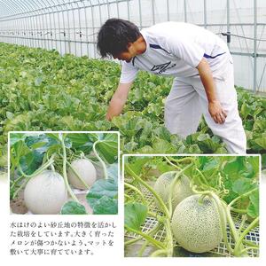 SA2610　庄内砂丘プレミアムメロン(青肉・赤肉) 各1玉 1.7kg以上　計2玉