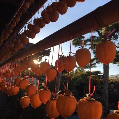 ふるさと納税 山梨市 【甲州銘菓数量限定】手作り甲州百目枯露柿12〜20個1号化粧箱入り |  | 02