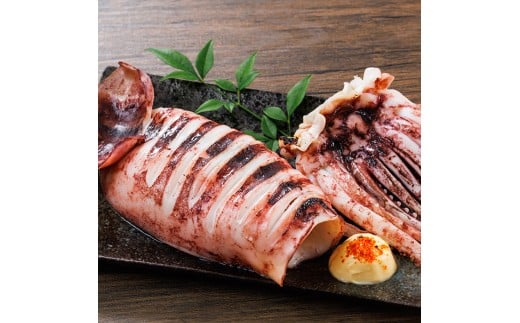 ＜訳あり＞ いかの一夜干し (10尾) 魚介 いか イカ 烏賊 一夜干し 冷凍 おつまみ つまみ スルメイカ するめいか するめ 国産 小分け 【opar003】【磯武】