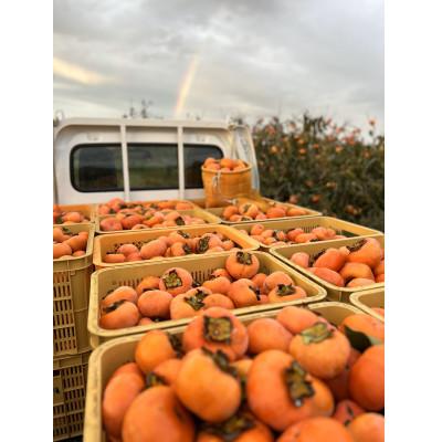 ふるさと納税 多気町 【令和8年先行予約】優しい農園　次郎柿　特選玉　5kg　20数玉目安　数量限定 |  | 01